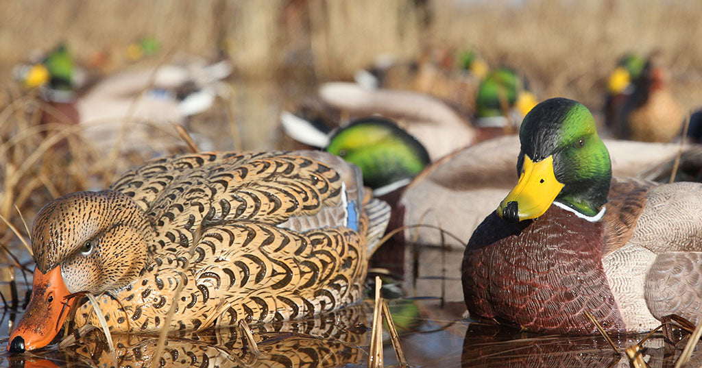GHG Pro-Grade XD Series Mallard Decoys-Feeder Pack