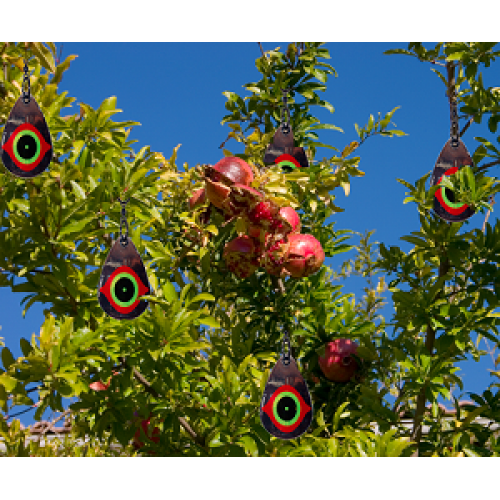 Bird-B-Gone Visual Diverters 5 Pack