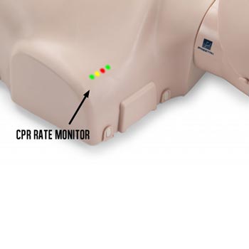 Prestan Professional Series INFANT Training Manikin 4-Pack