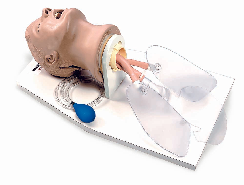 Airway Larry - Airway Management Trainer with Stand