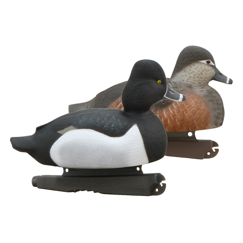 GHG Hunter Series Life Size Ring Neck Duck Decoys