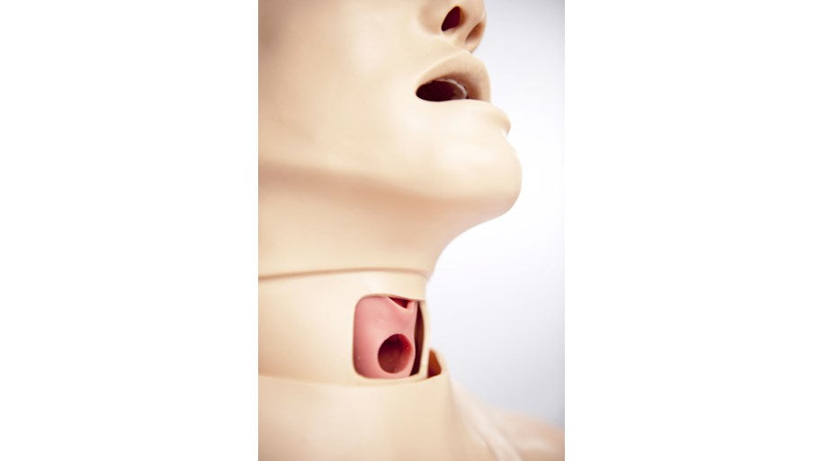 Deluxe Difficult Airway Trainer