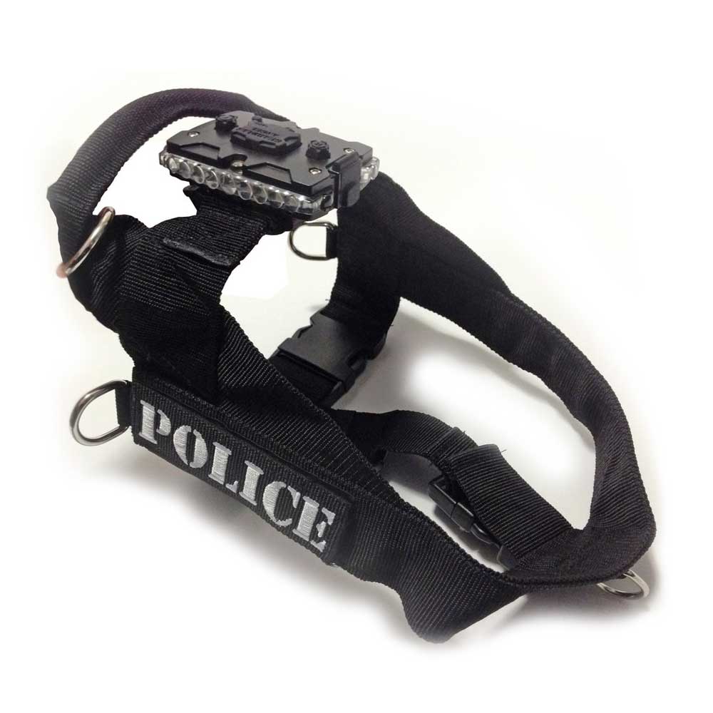 Canine Harness & Mount for LED Safety Light