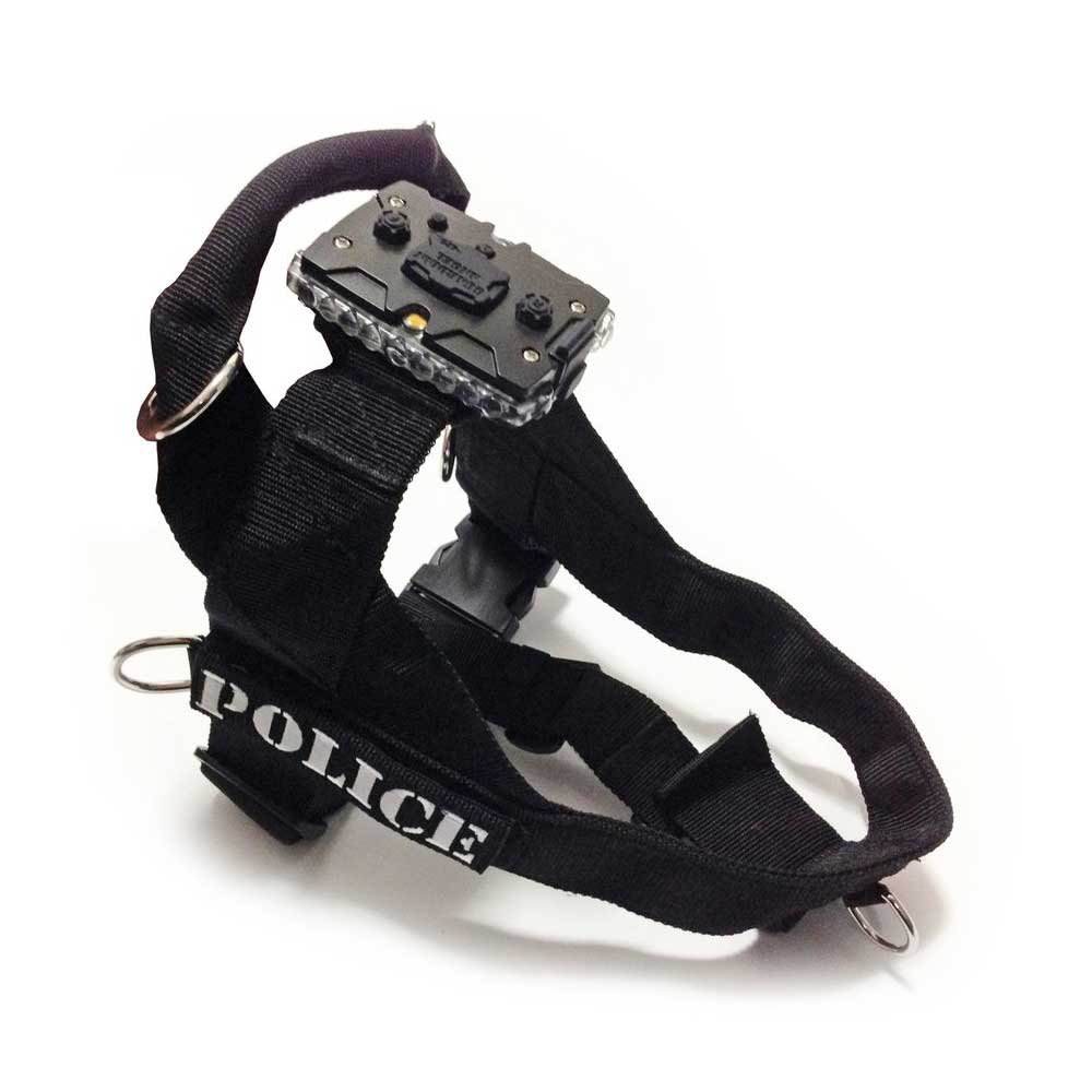 Canine Harness & Mount for LED Safety Light