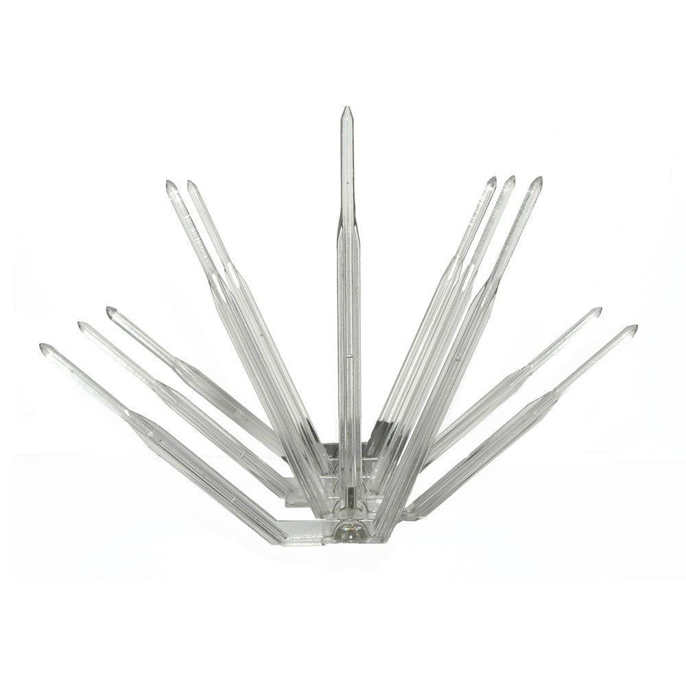 Clear Plastic Bird Spikes 5" (5"x6')