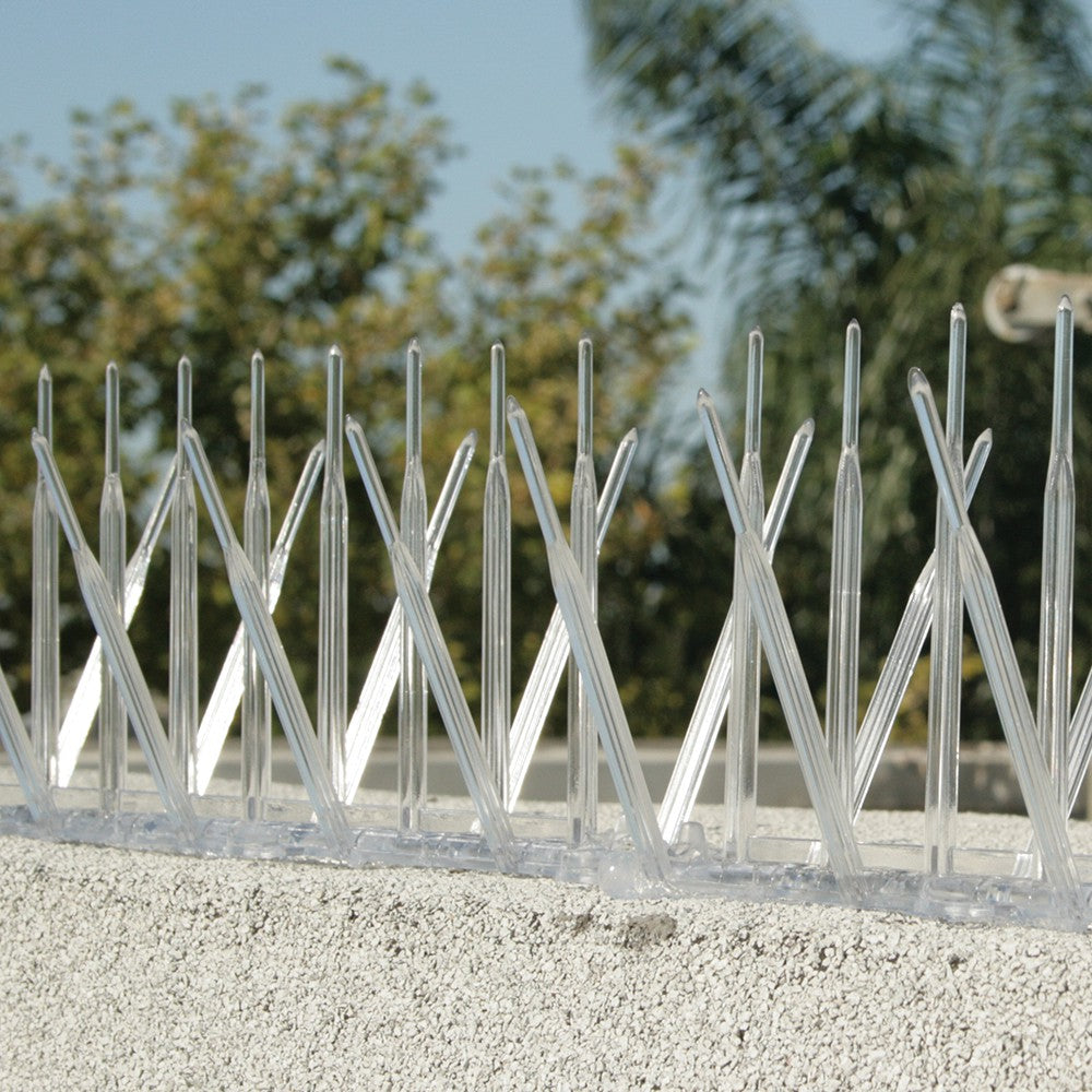 Clear Plastic Bird Spikes 5" (5"x6')