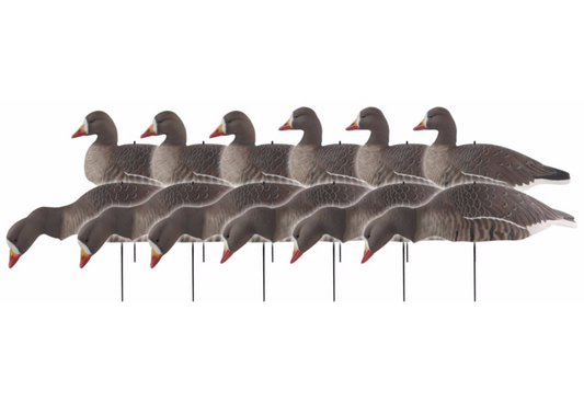 GHG Pro-Grade Specklebelly Shell Decoys