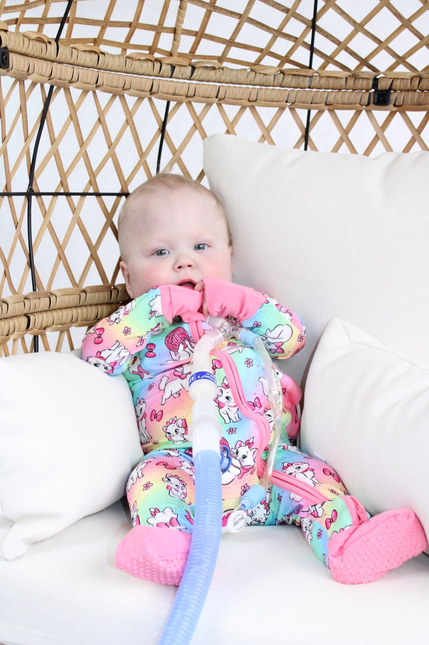 Sassy Cat Medically Adaptive Zippy