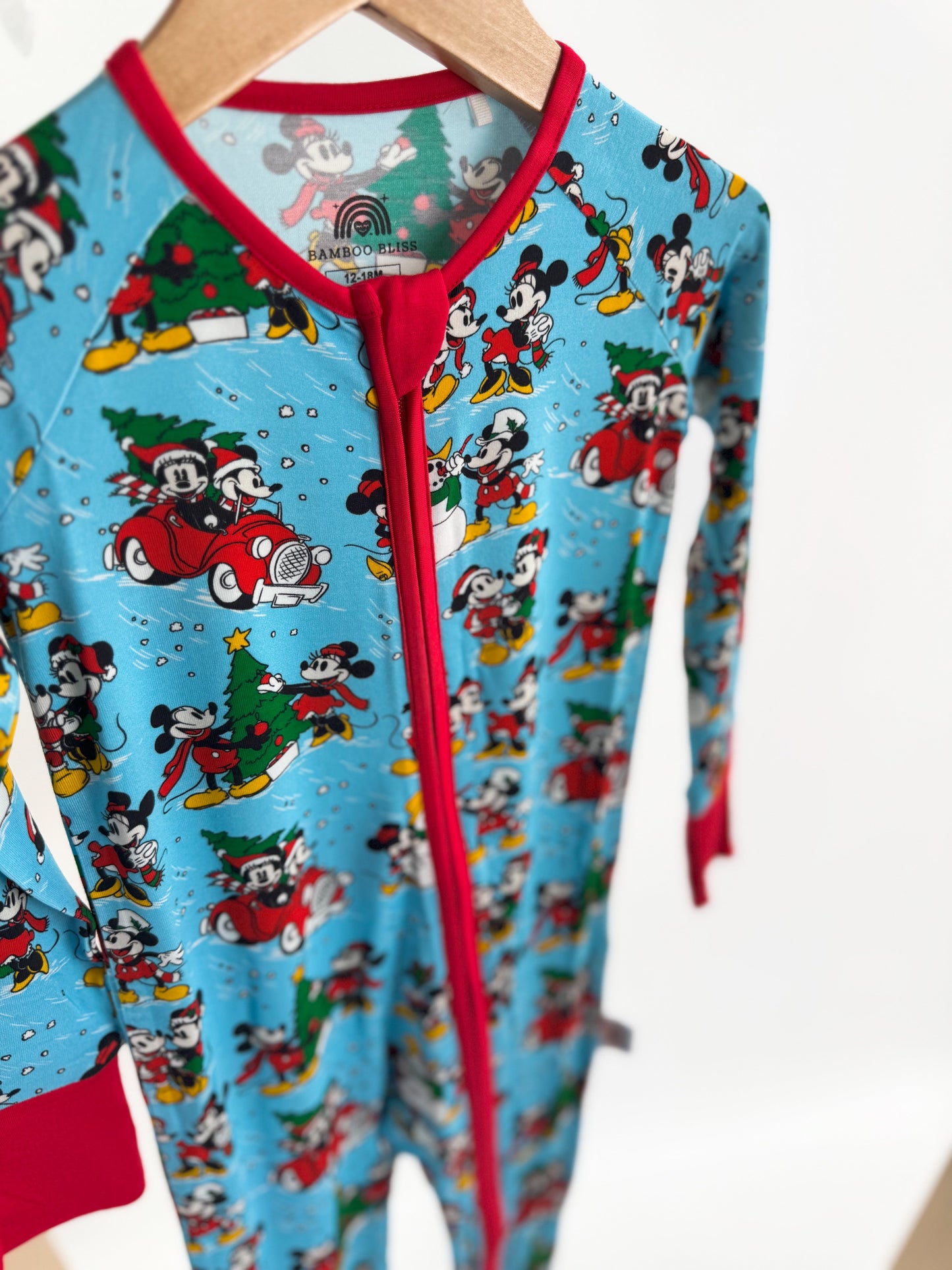 *Pre-Sale* Steamboat Blissmas Zippy *ETS NOV*