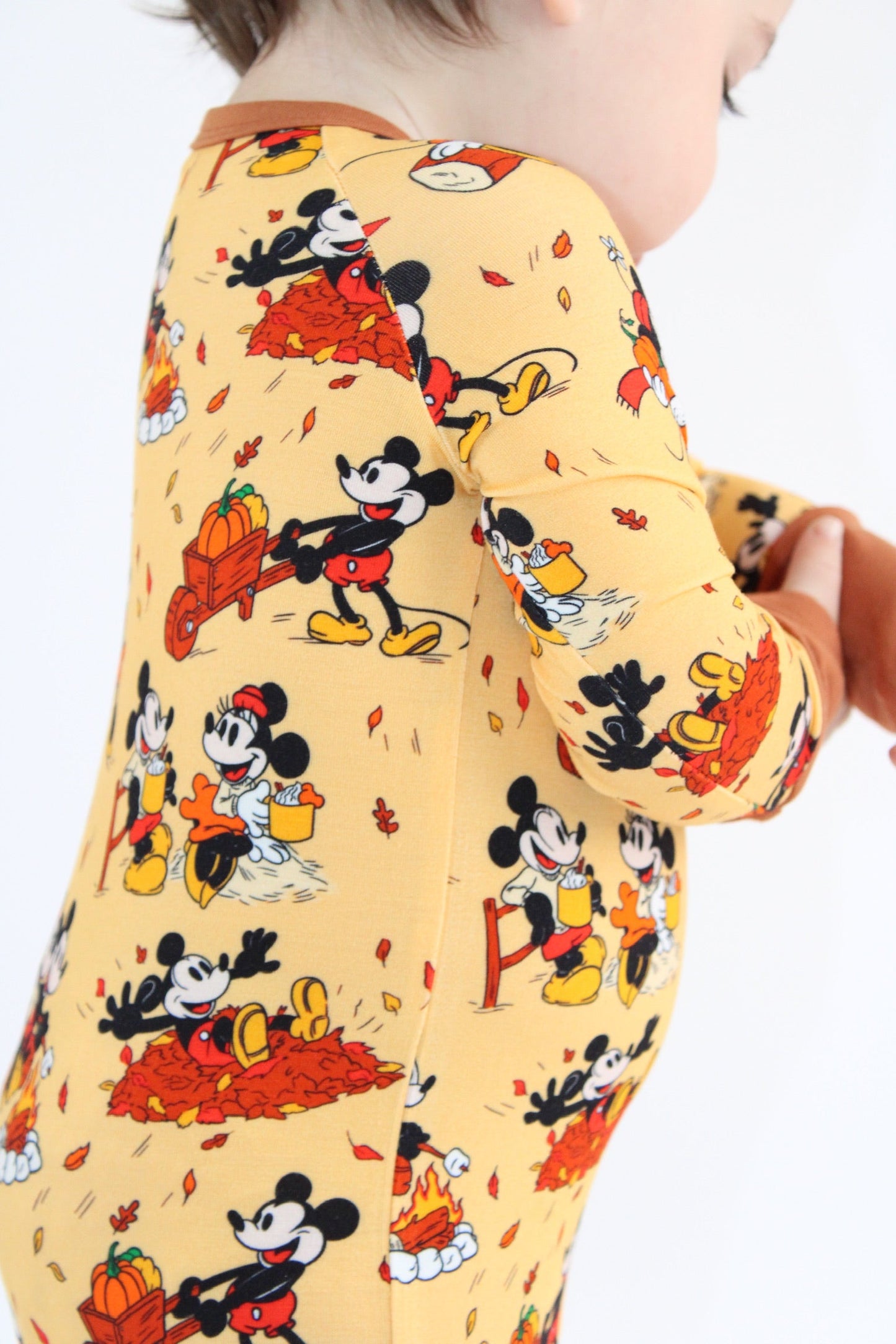 Steamboat Fall Zippy