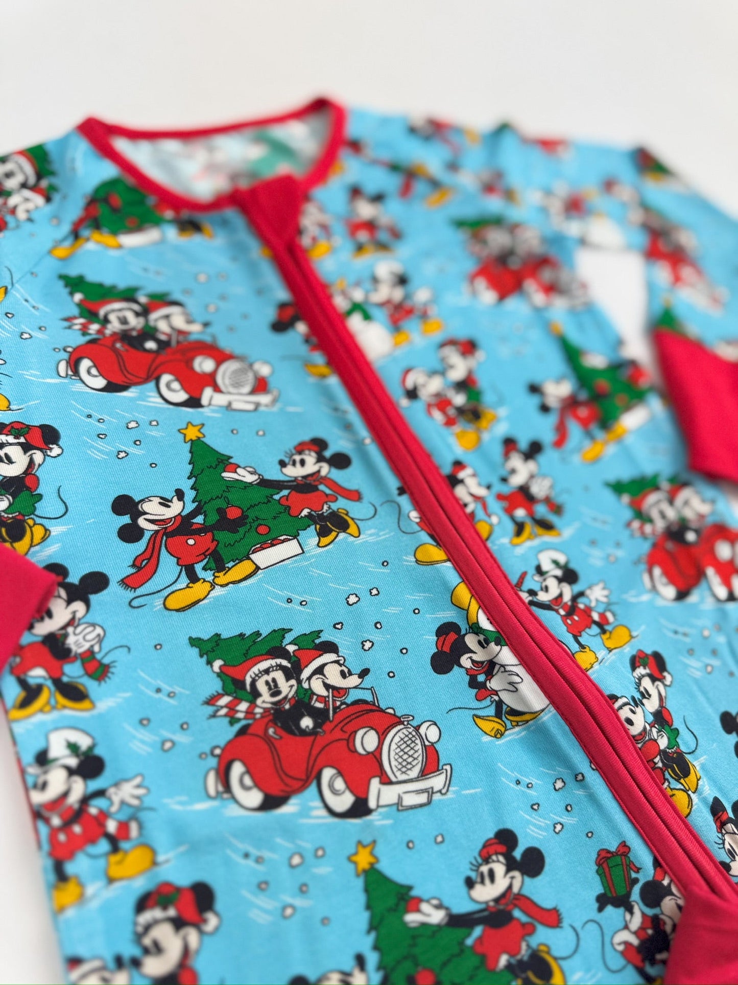 *Pre-Sale* Steamboat Blissmas Zippy *ETS NOV*