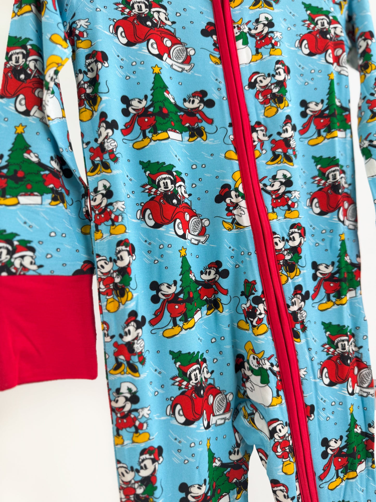 *Pre-Sale* Steamboat Blissmas Zippy *ETS NOV*