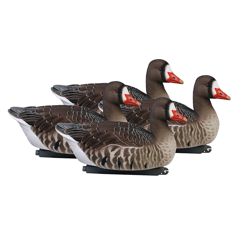 GHG Pro-Grade FFD Elite Specklebelly Floater Decoys -  Active Pack