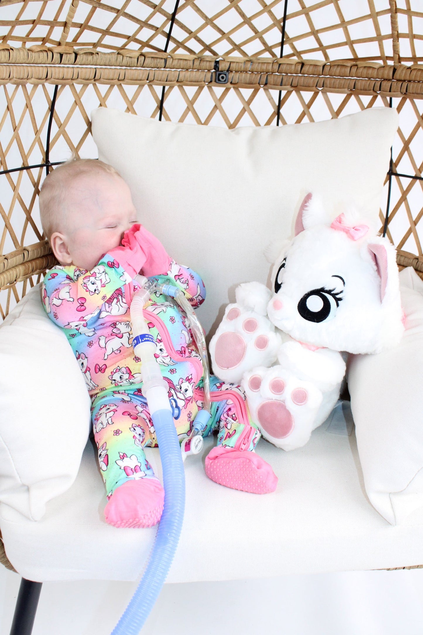 Sassy Cat Medically Adaptive Zippy