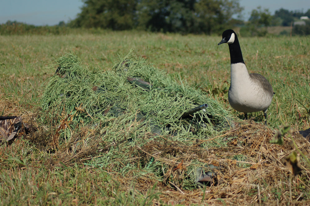 Killerweed Layout Blind Kit