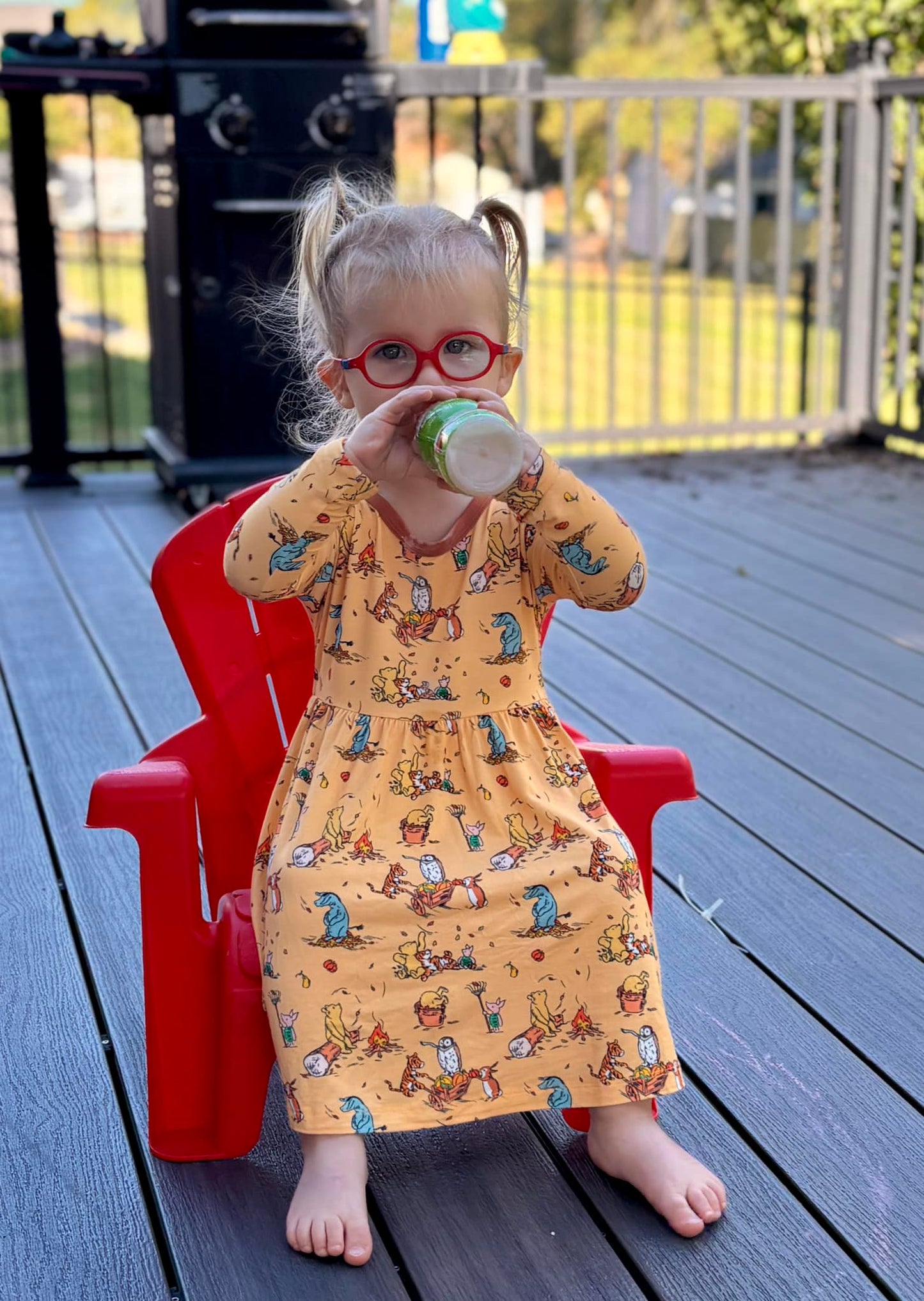 100 Acre Fall Long Sleeve Twirl Dress
