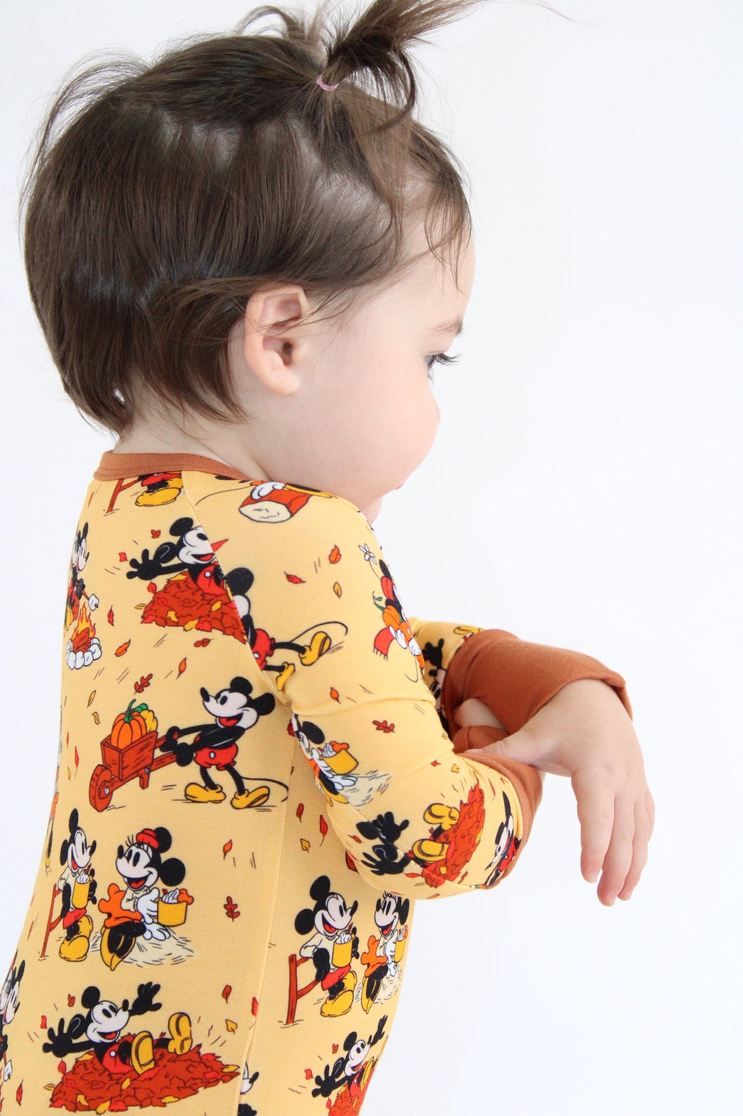 Steamboat Fall Zippy