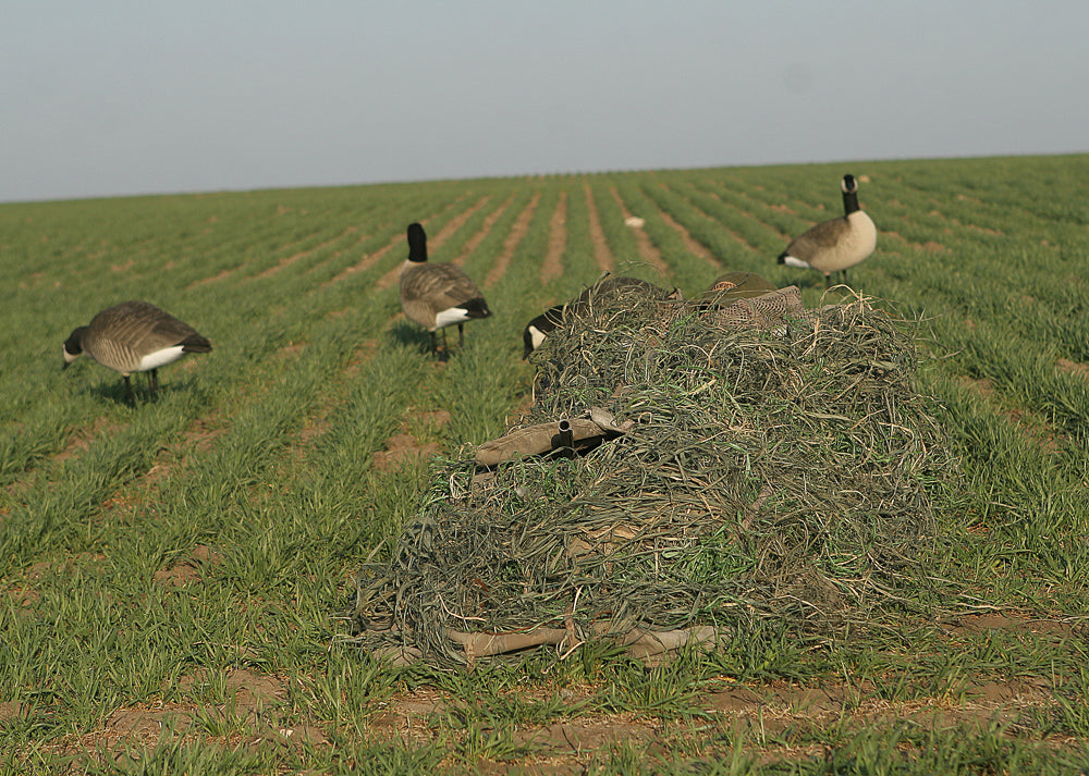 Killerweed Layout Blind Kit