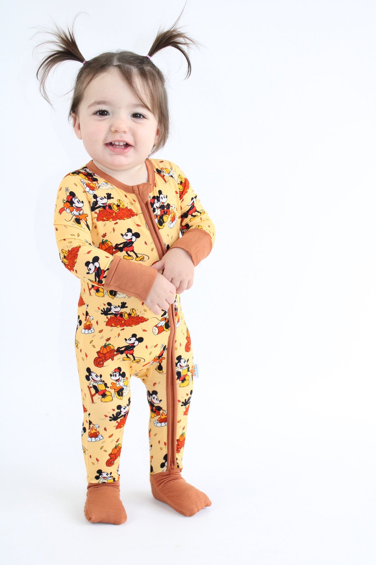 Steamboat Fall Zippy