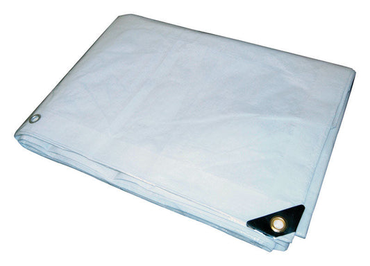 Ace Canopy Tarps 10'x10'