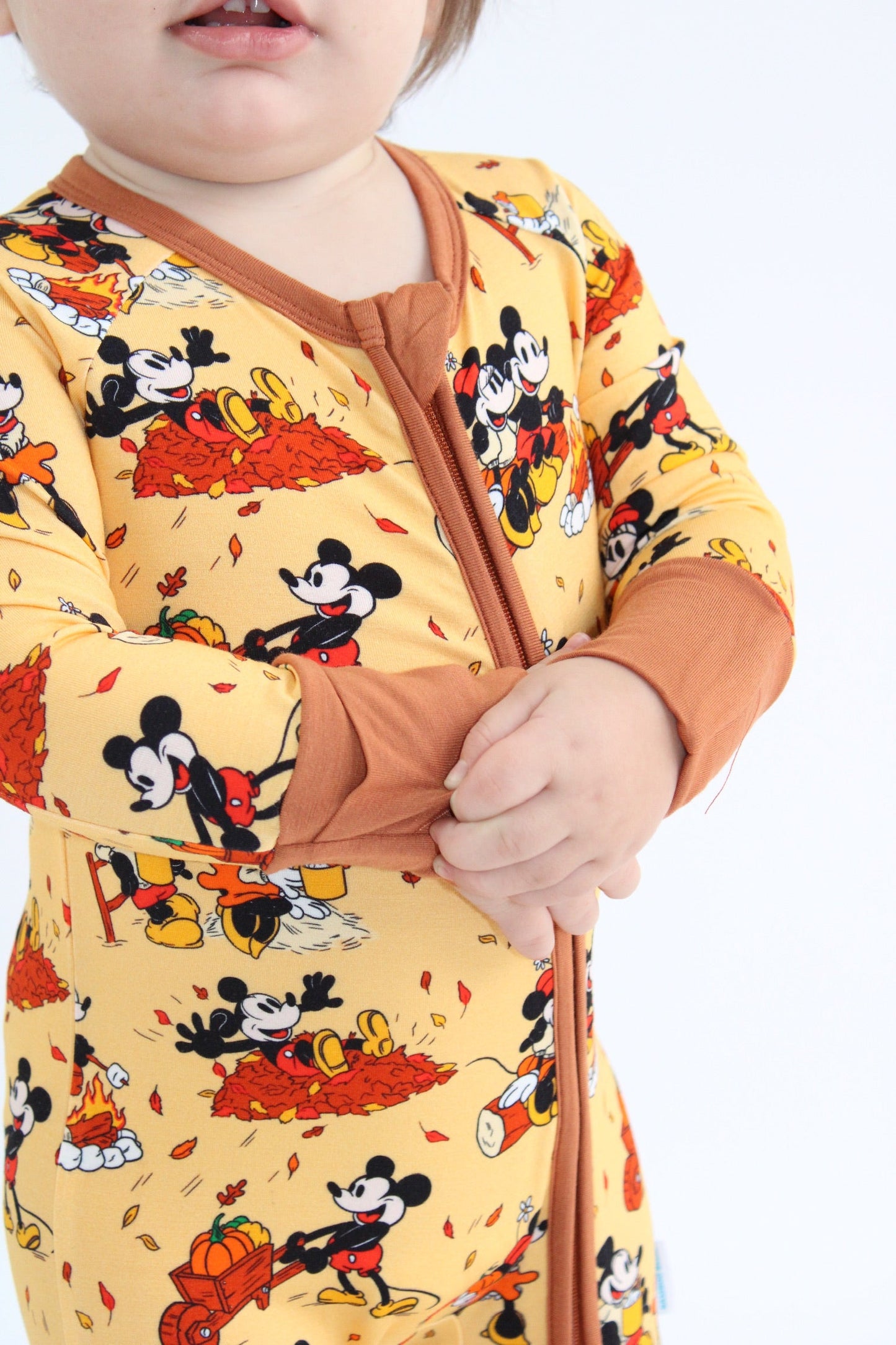 Steamboat Fall Zippy