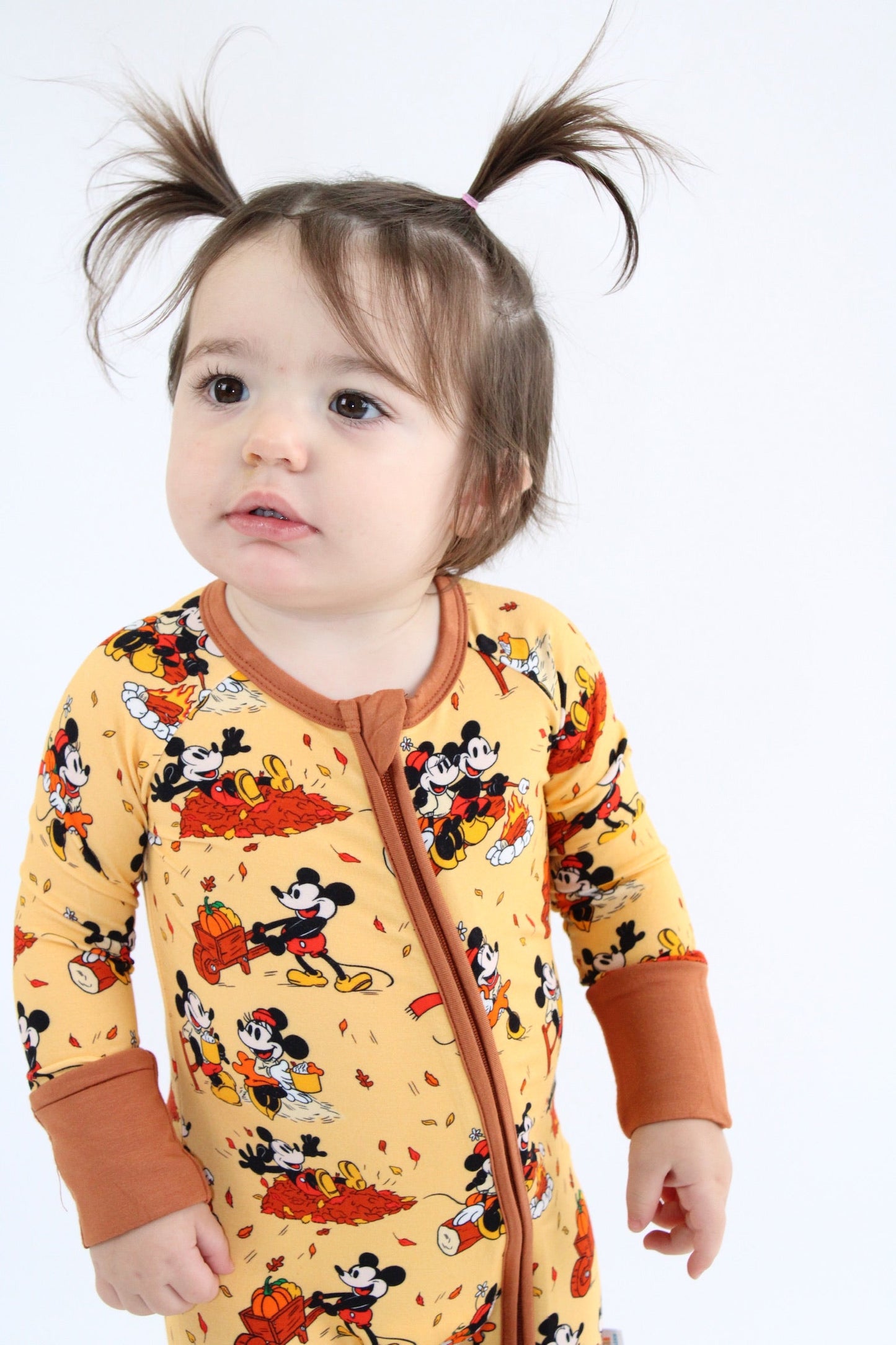 Steamboat Fall Zippy