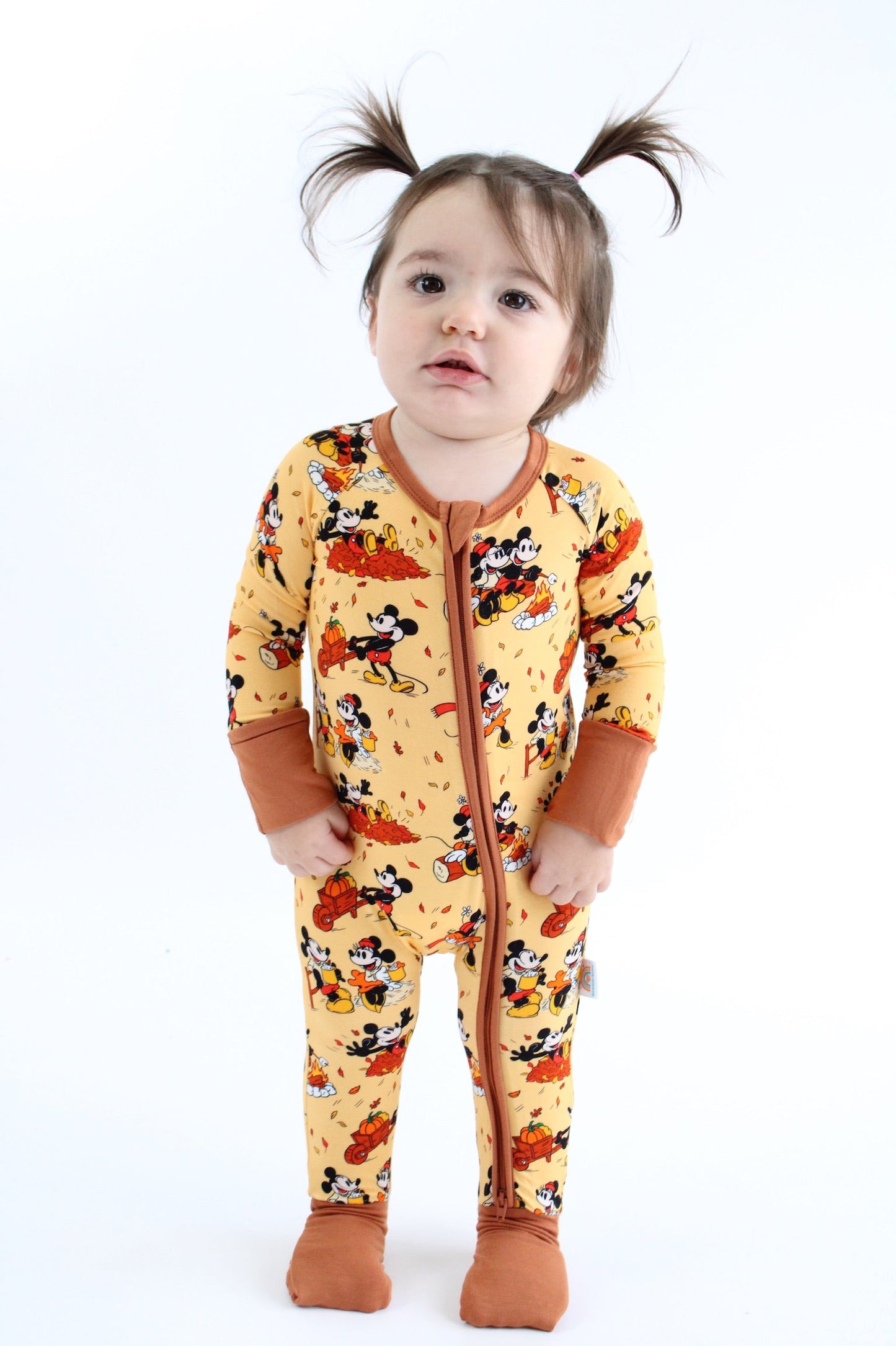 Steamboat Fall Zippy