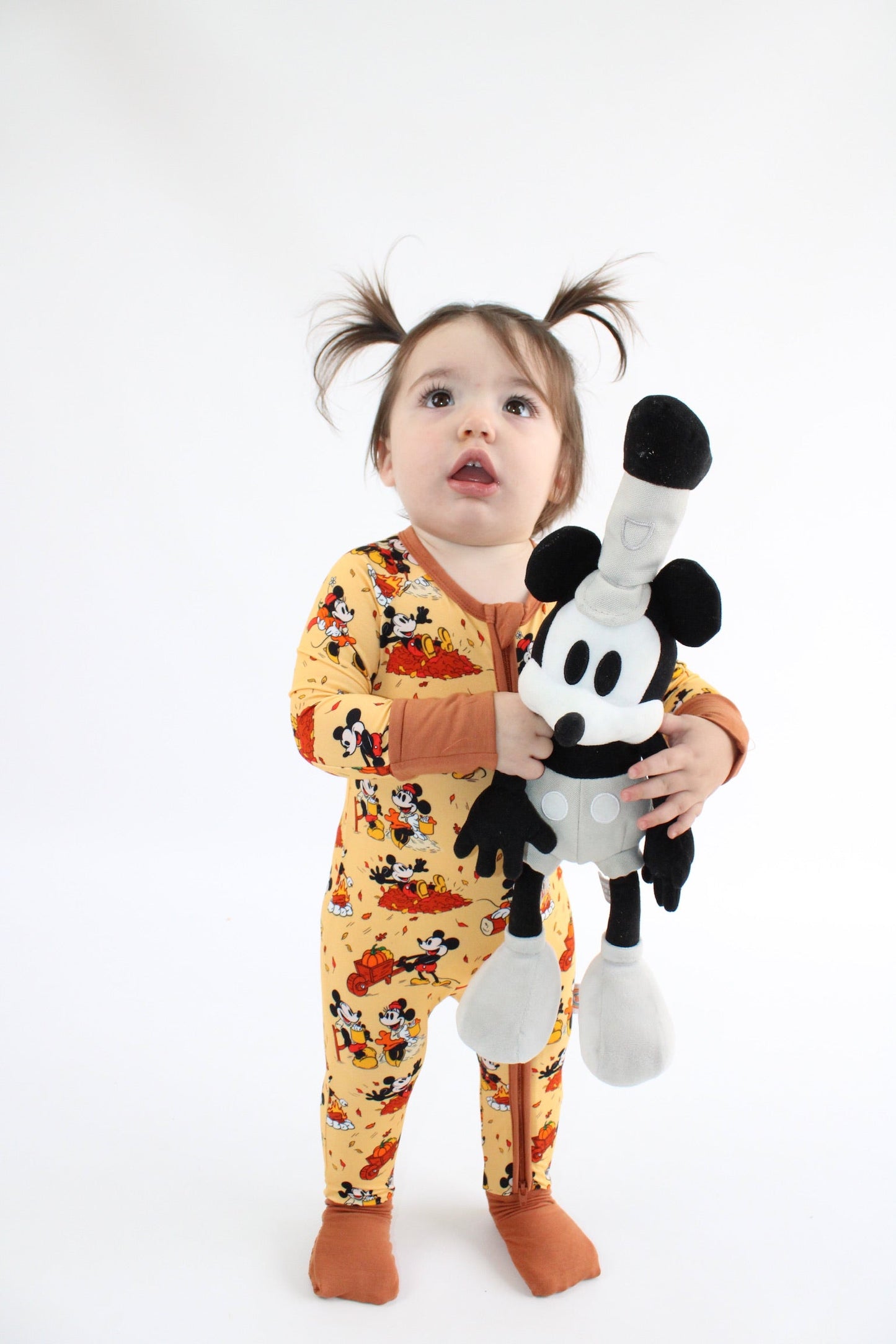 Steamboat Fall Zippy