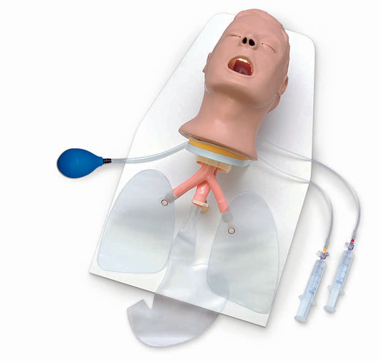 Advanced “Airway Larry” Airway Management Trainer with Stand
