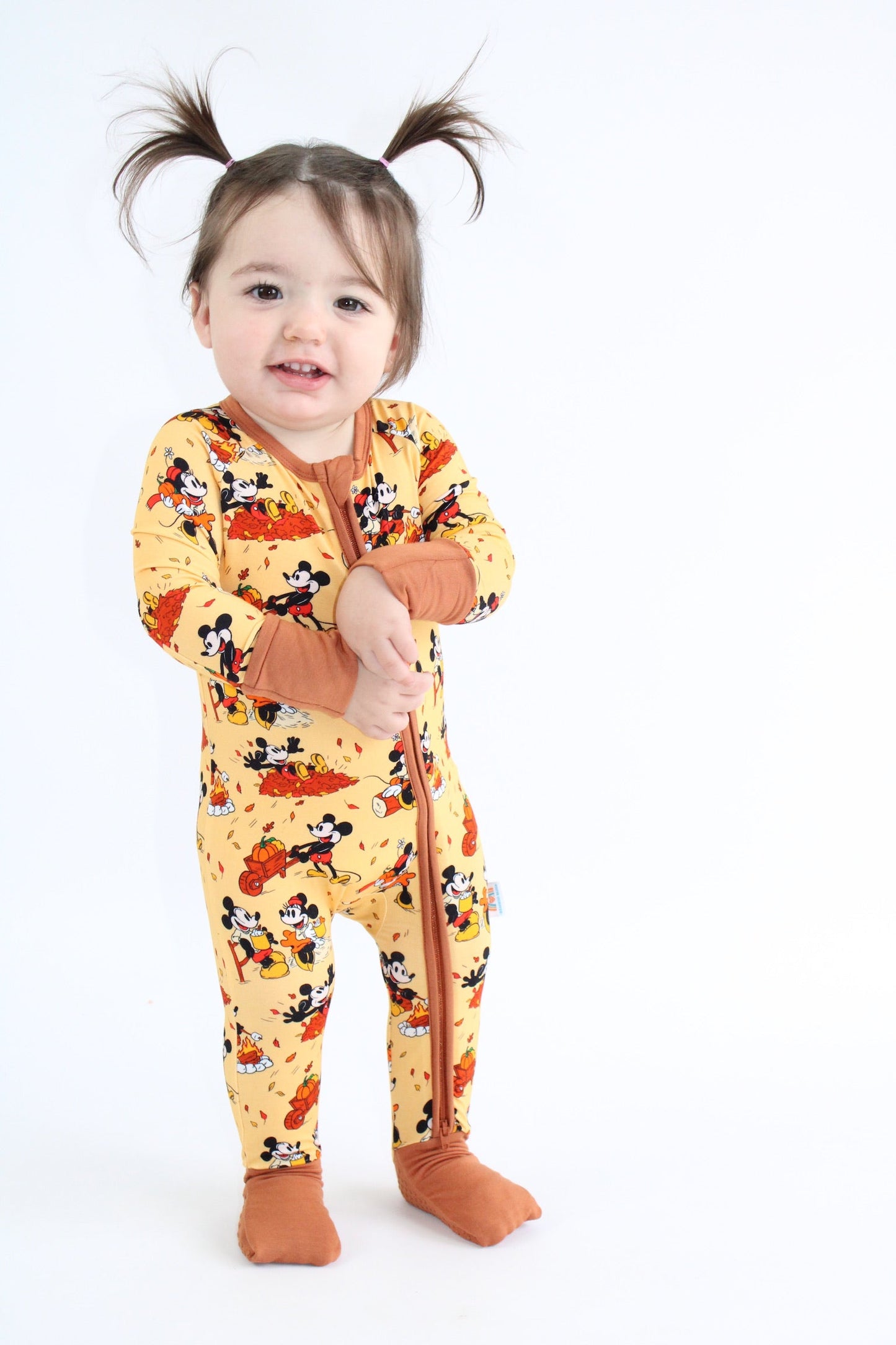 Steamboat Fall Zippy