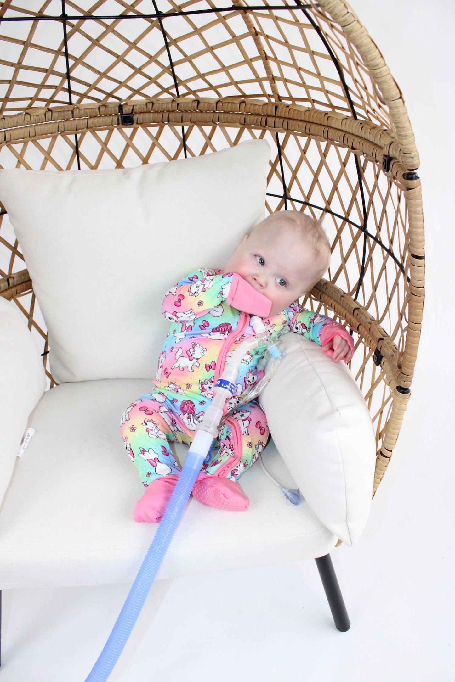 Sassy Cat Medically Adaptive Zippy