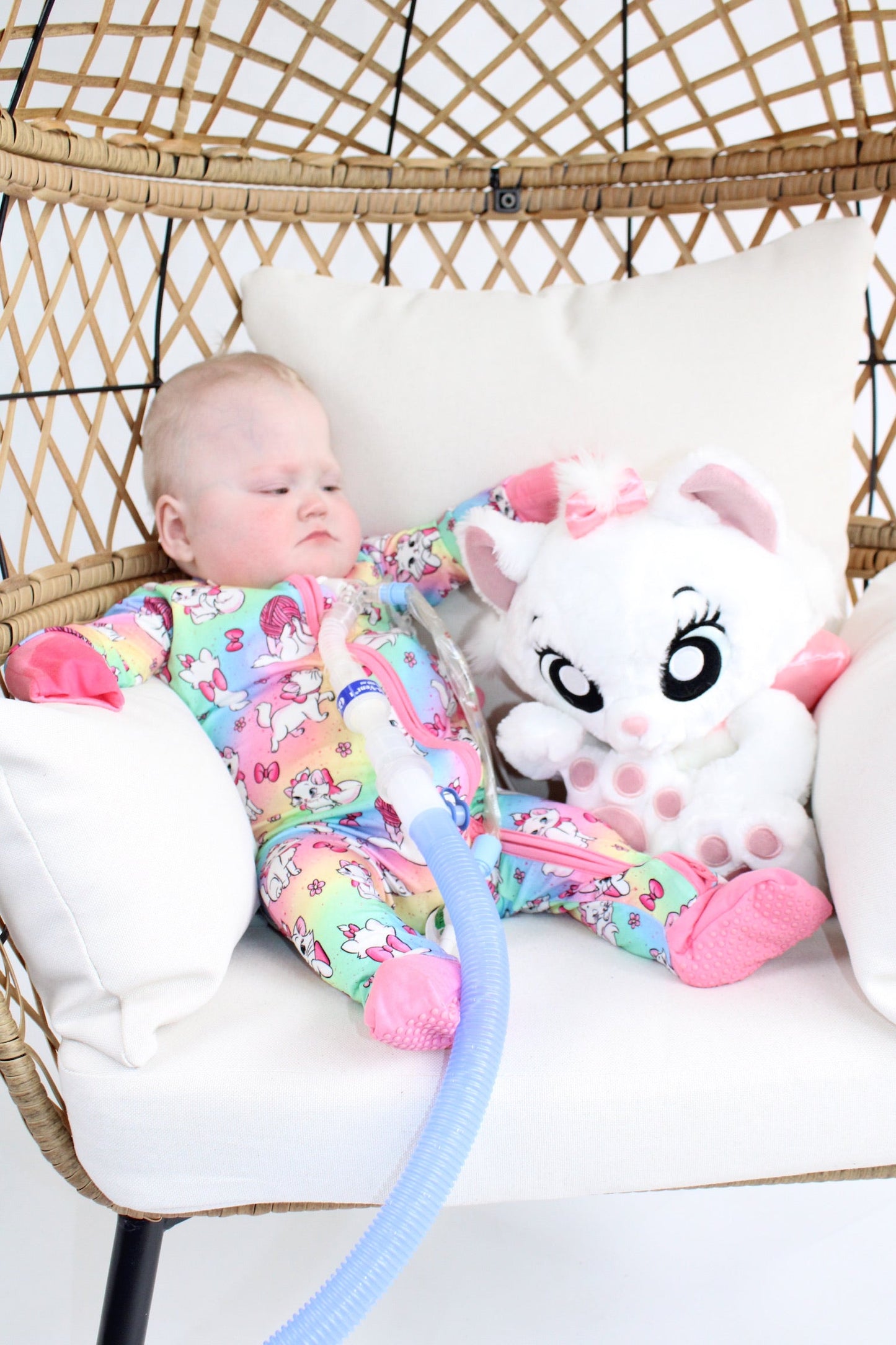 Sassy Cat Medically Adaptive Zippy