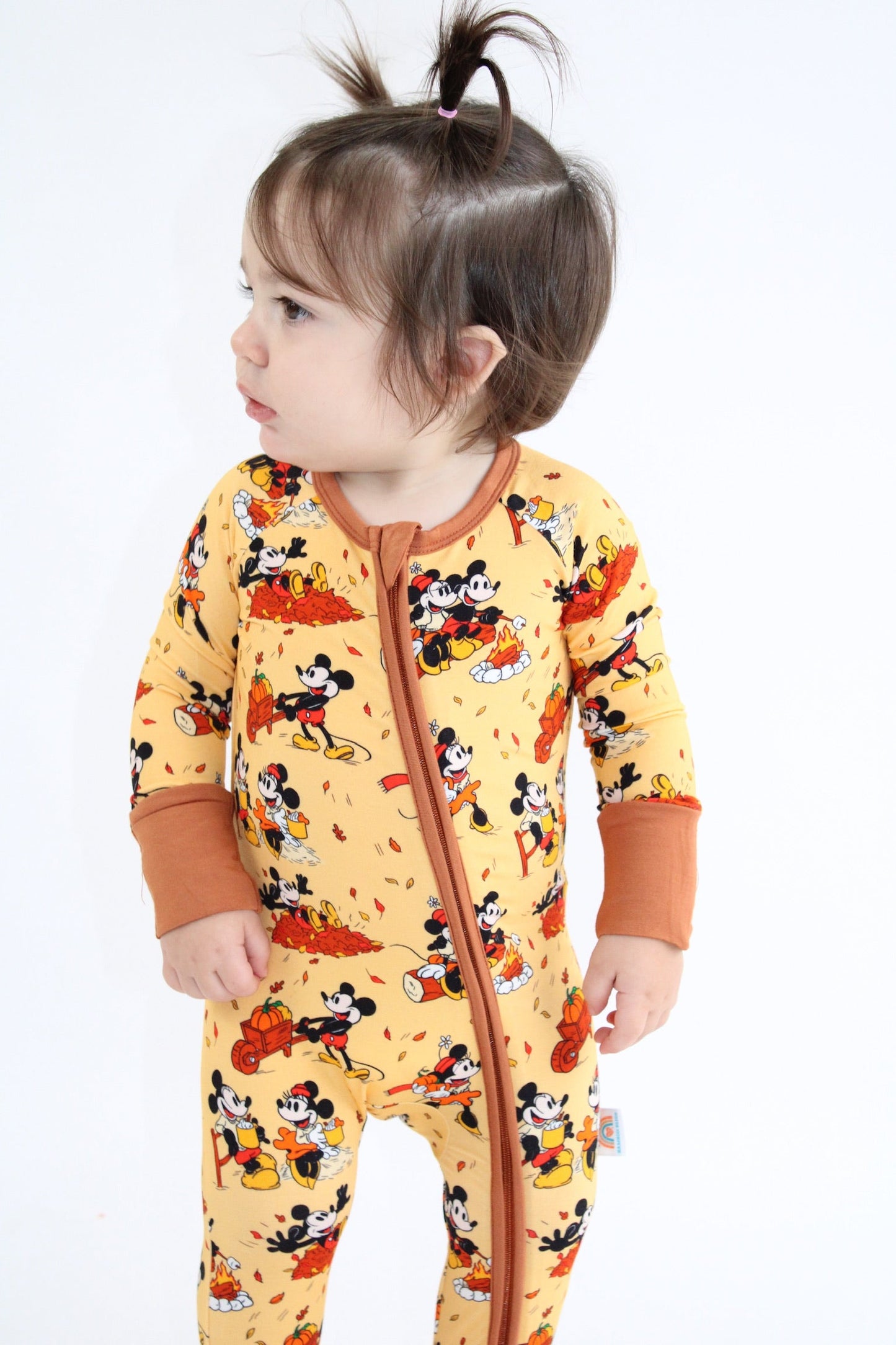 Steamboat Fall Zippy