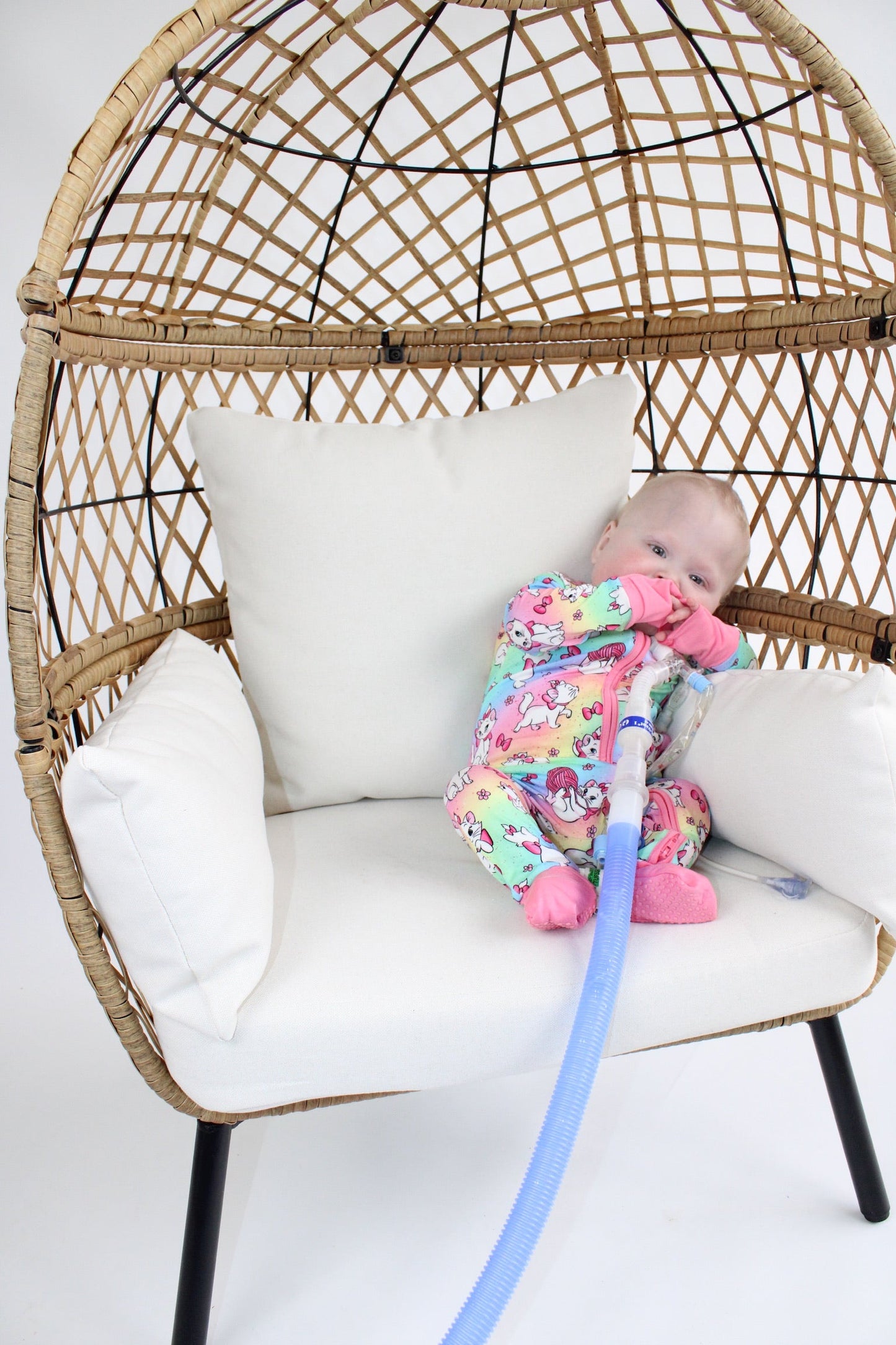 Sassy Cat Medically Adaptive Zippy