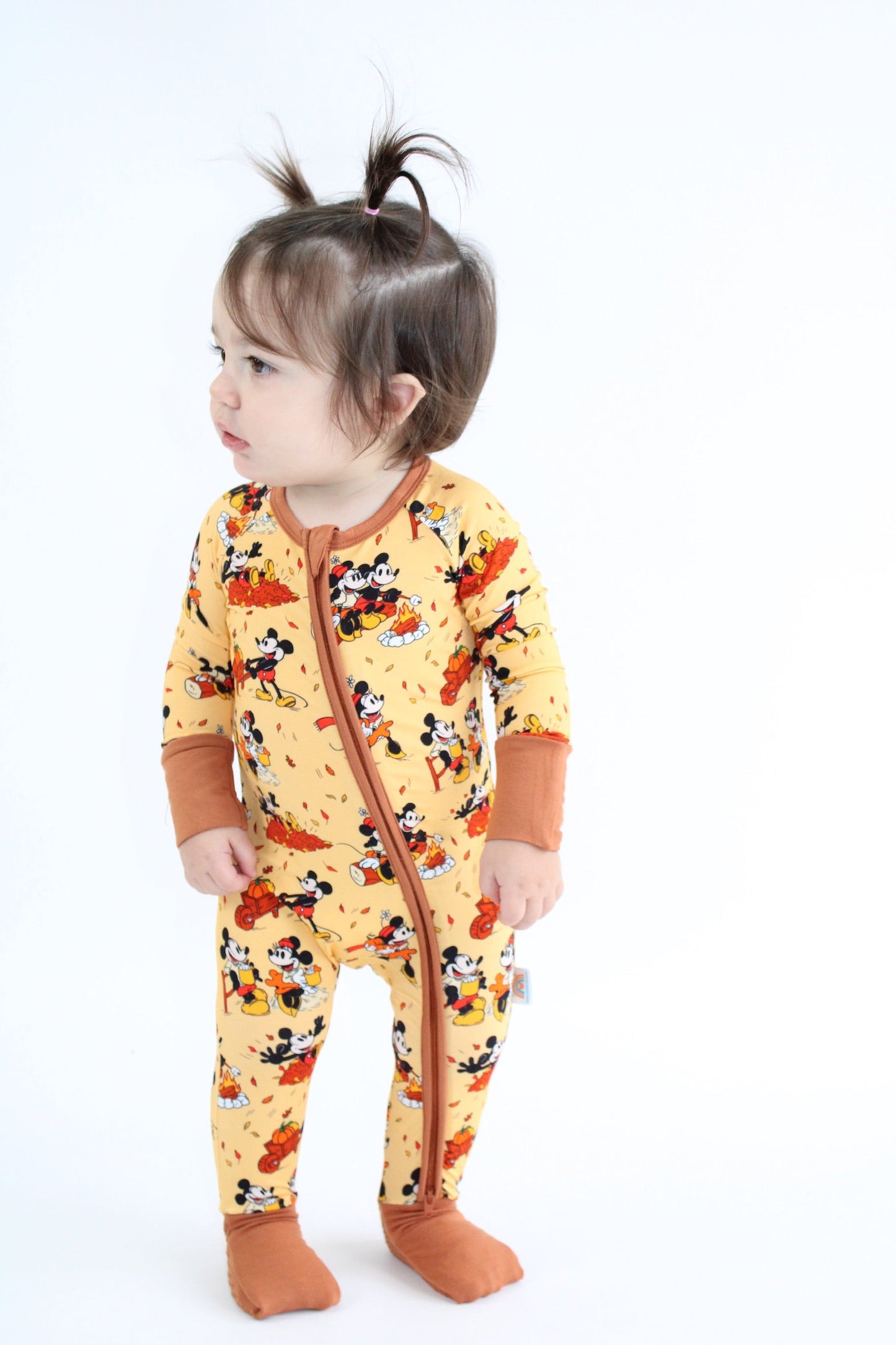 Steamboat Fall Zippy