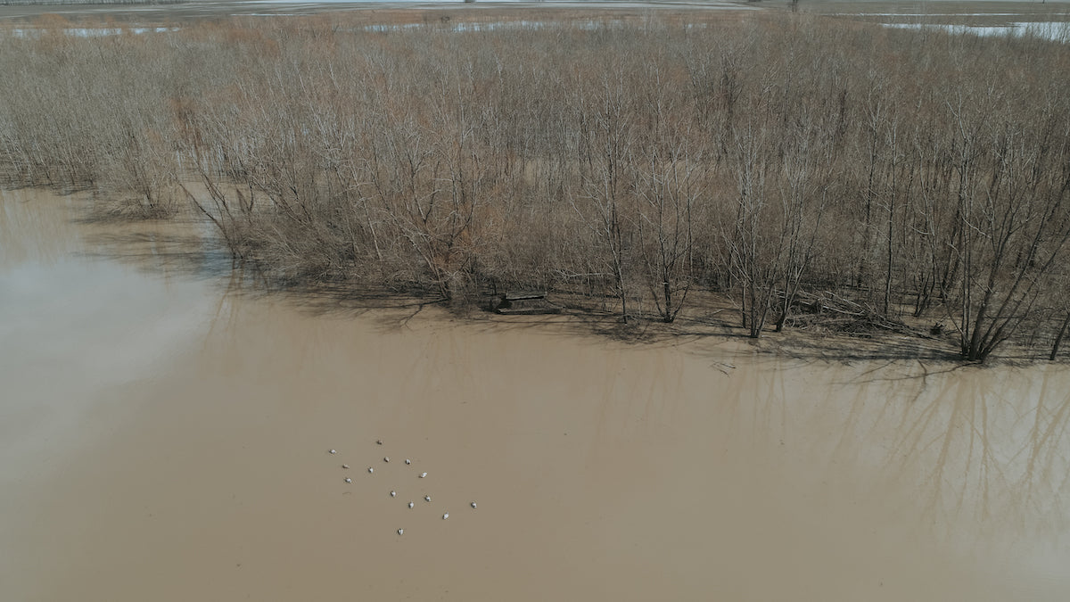 Banded AXE Boat/Shore Combo Blind enviro shot in use while duck hunting and goose hunting drone overhead view - ducks view