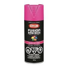 Fusion All-in-One Paint for Plastic