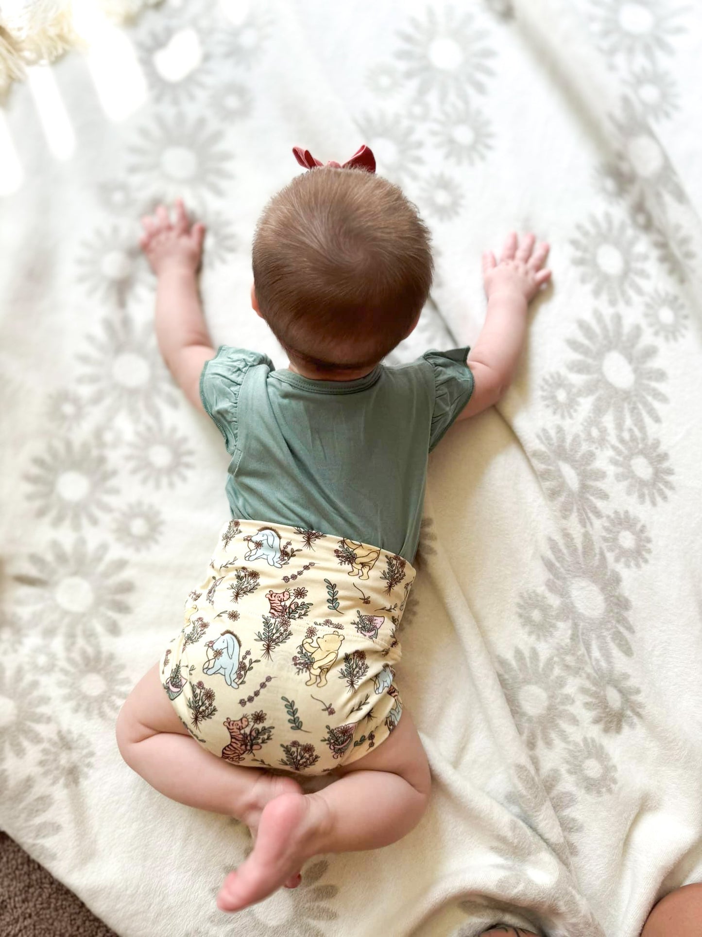Winnie's Garden Flutter Sleeve & Bummie Set