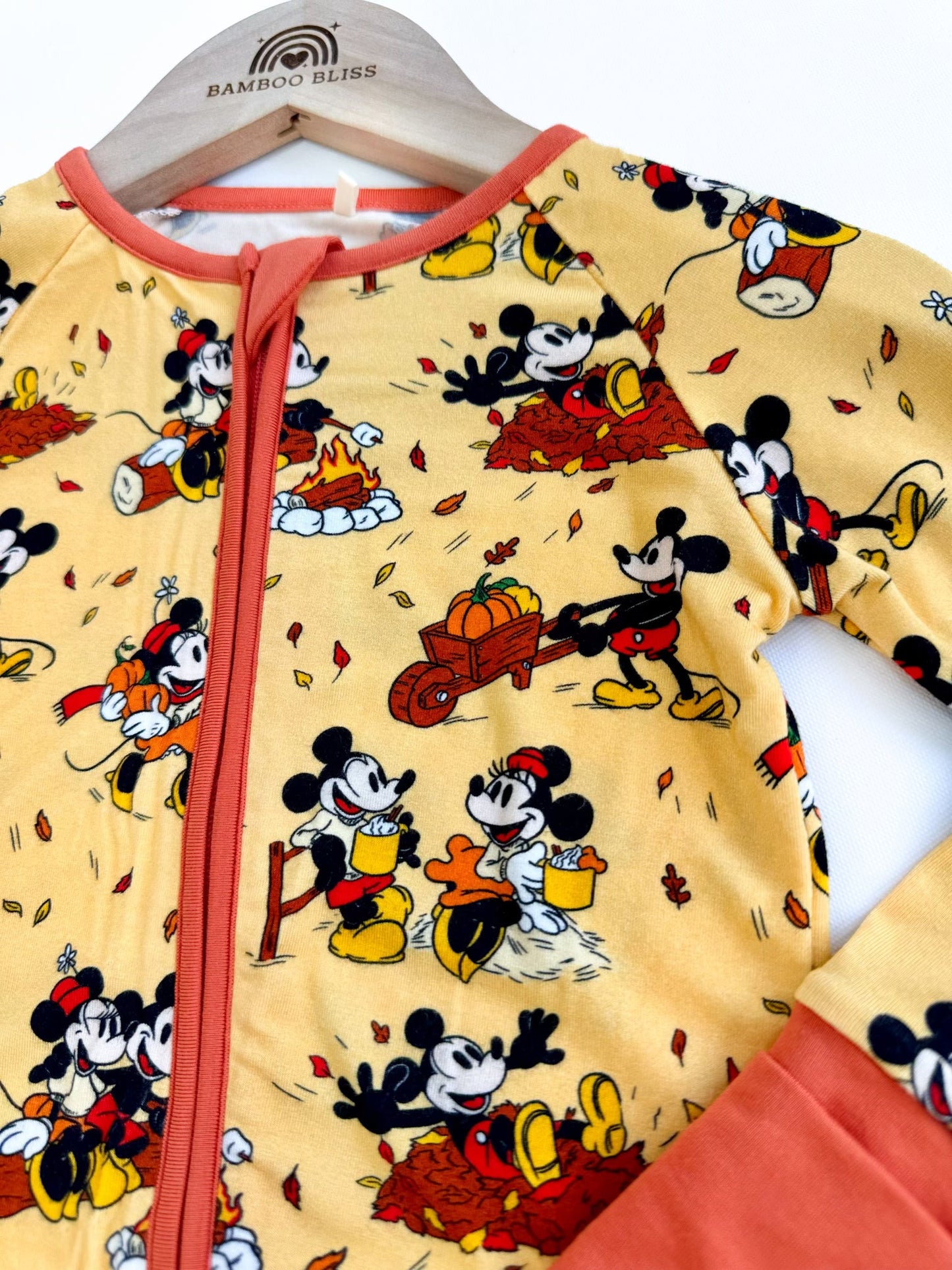 Steamboat Fall Zippy