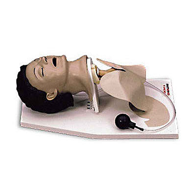 Life/form Adult Airway Management Trainer with Stand