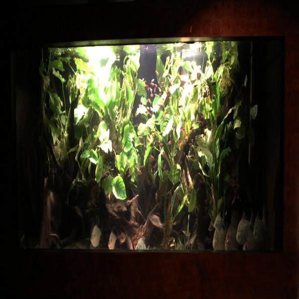 Liquid Rubber Waterproof Sealer