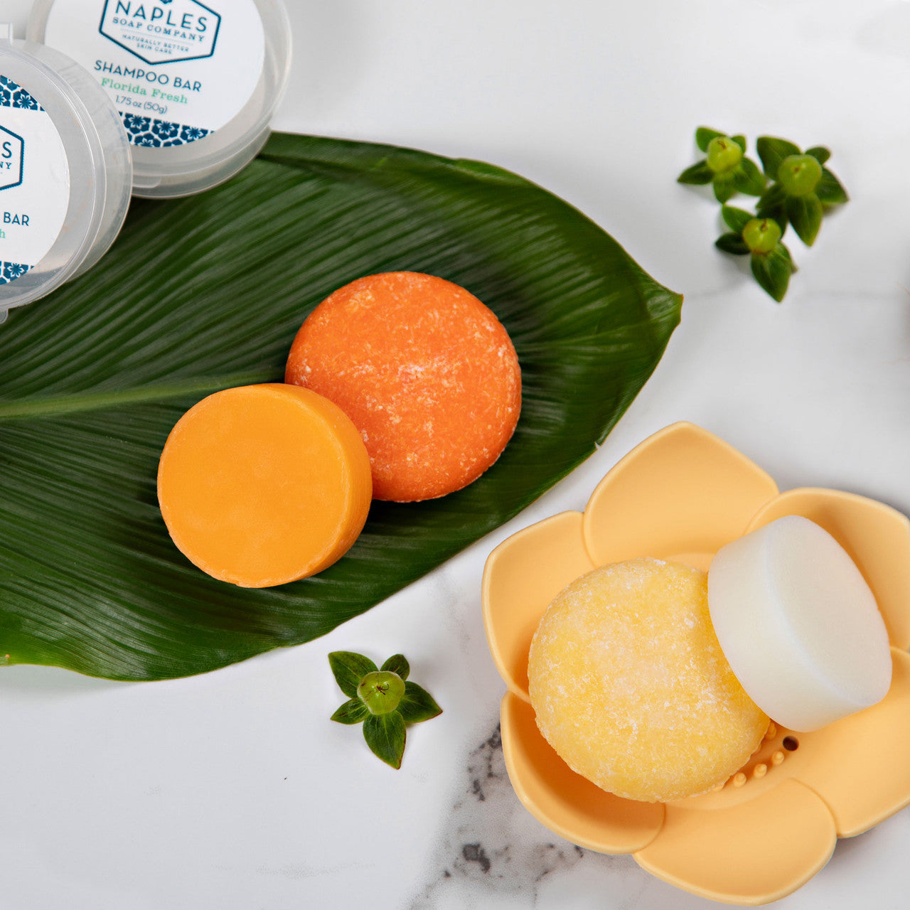 Florida Fresh & Coconut Water Mane Attraction Lifestyle
