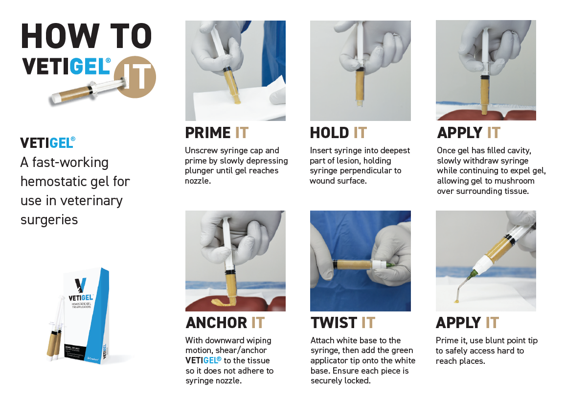 PM-V0059-R01 - VETIGEL How to Use Brochure Bundle (QTY 20 ea) - VETIGEL®  Hemostatic Gel