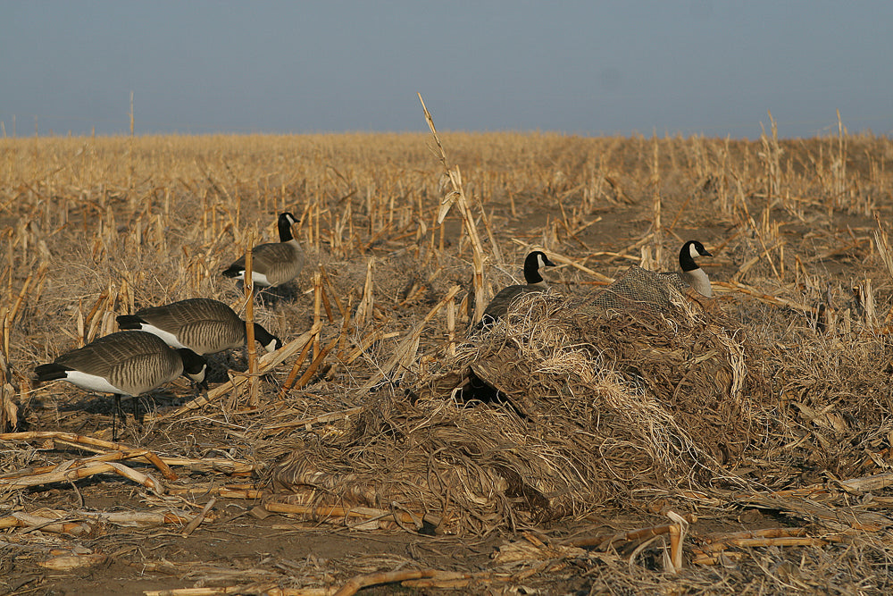 Killerweed Layout Blind Kit
