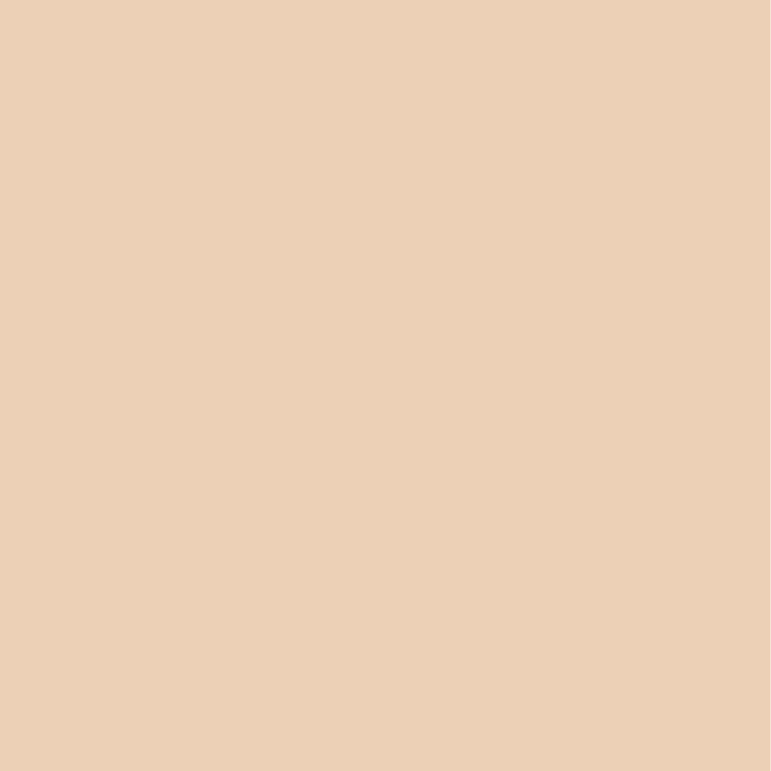 Brightside Polyurethane Marine Enamel Bristol Beige 946ml