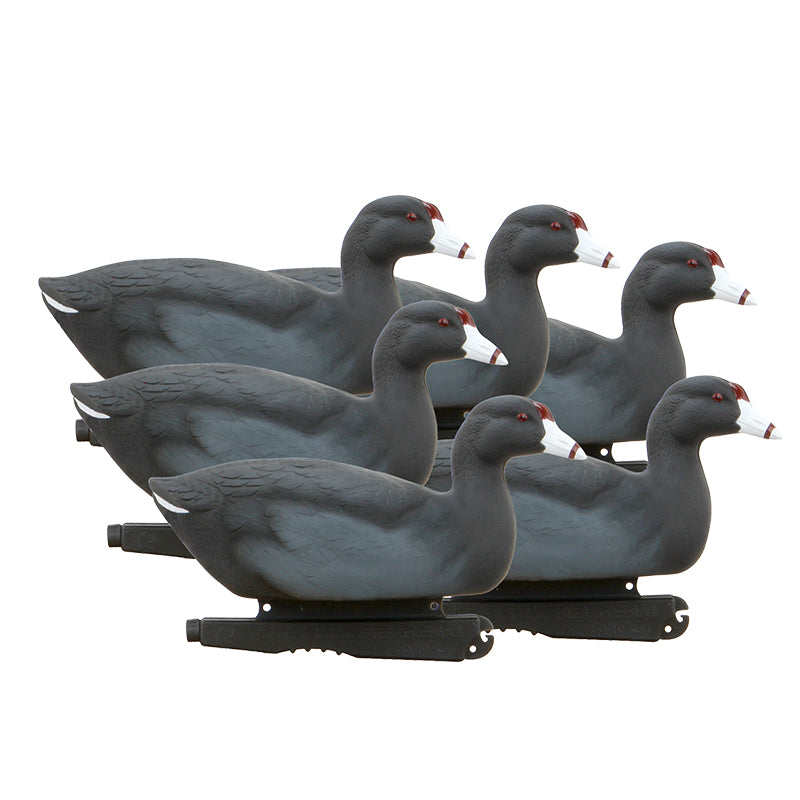 GHG Hunter Series Over Size Coot Decoys