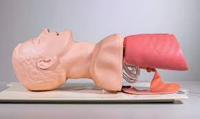Airway Management Trainer Laerdal