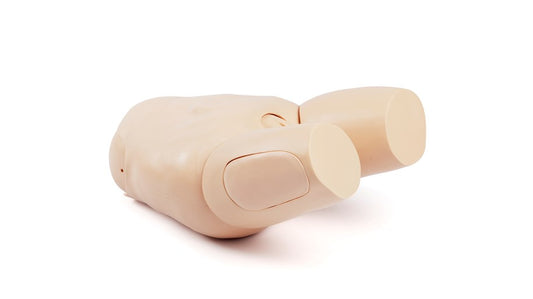 Fundus Skills & Assessment Trainer