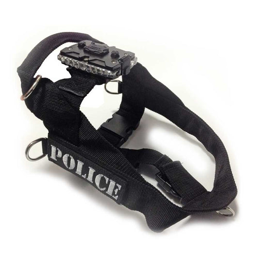 Canine Harness & Mount for LED Safety Light