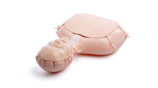 Mini Anne Plus (10) Lt